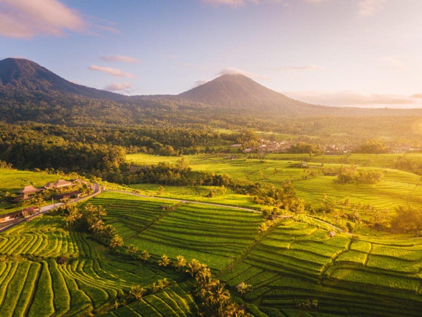Alam Desa Duren Sawit yang Asri