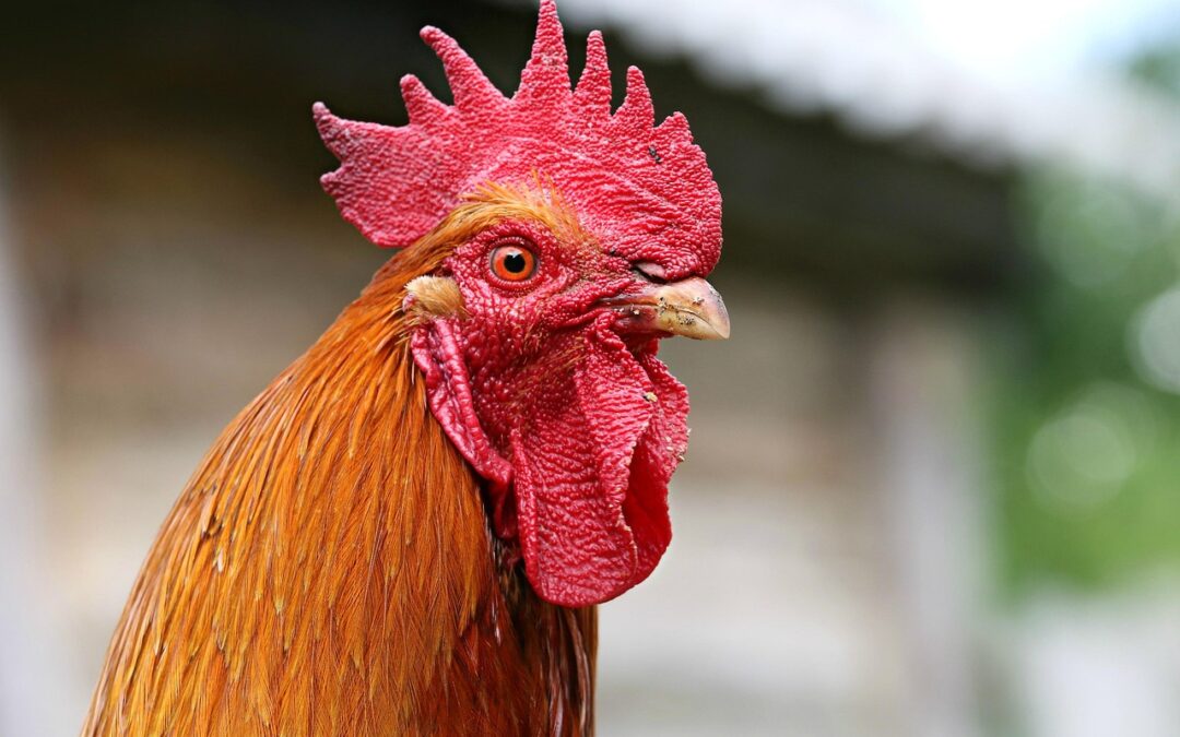 Pelatihan Perekonomian untuk Pemberdayaan Masyarakat Desa Duren Sawit