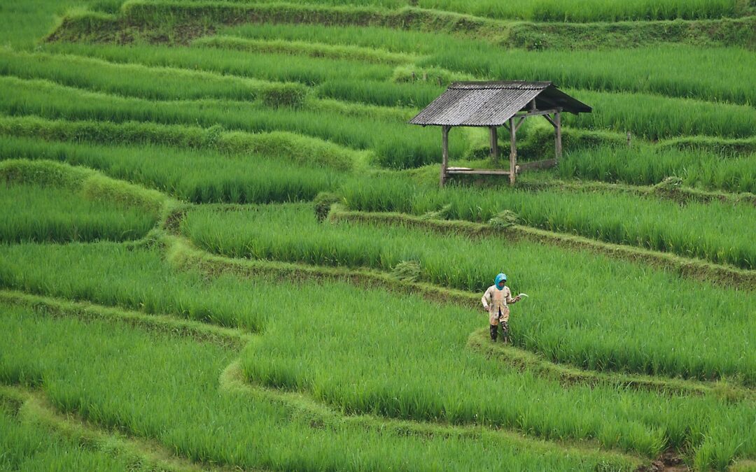 Menyongsong Masyarakat Mandiri dengan Pelatihan Perekonomian di Duren Sawit